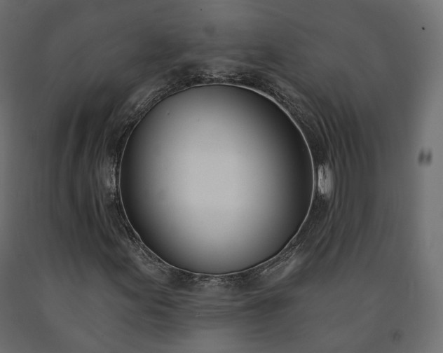 X0000091561155200708241810