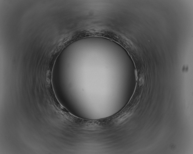 X0000091561156200708241810