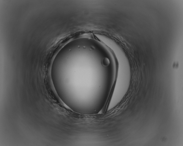 X0000091561157200708241810