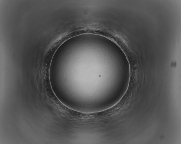 X0000091561159200708241810