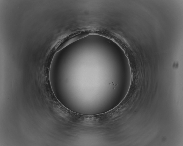 X0000091561160200708241810