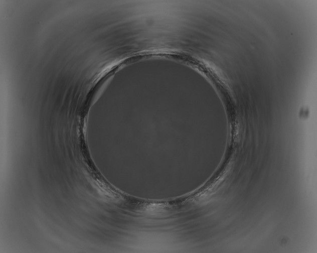 X0000091561161200708241810