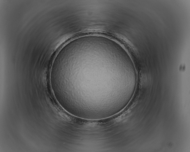 X0000091561162200708241810