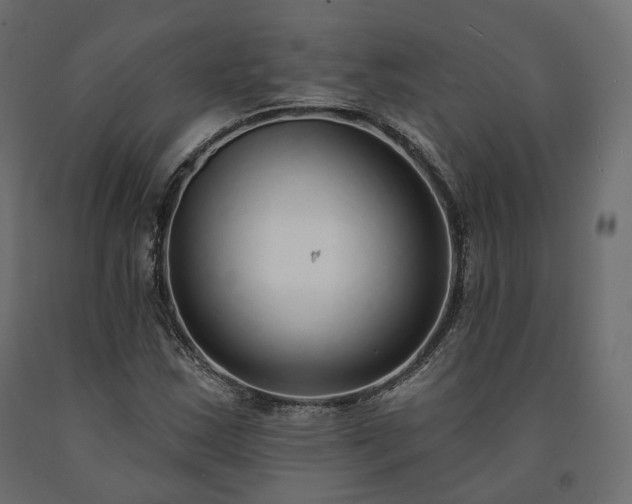 X0000091561163200708241810