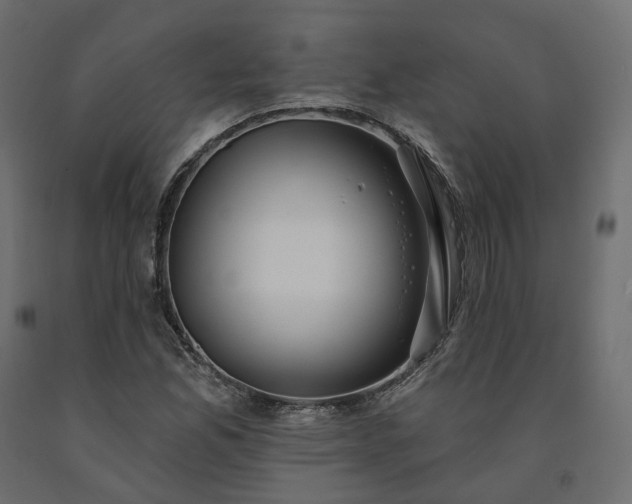 X0000091561165200708241810