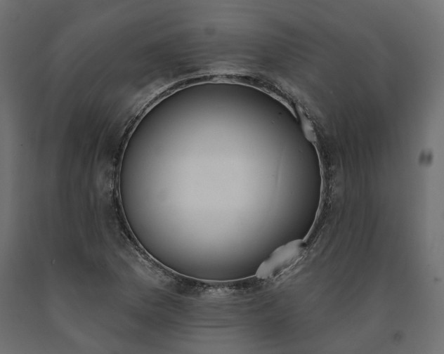 X0000091561169200708241810