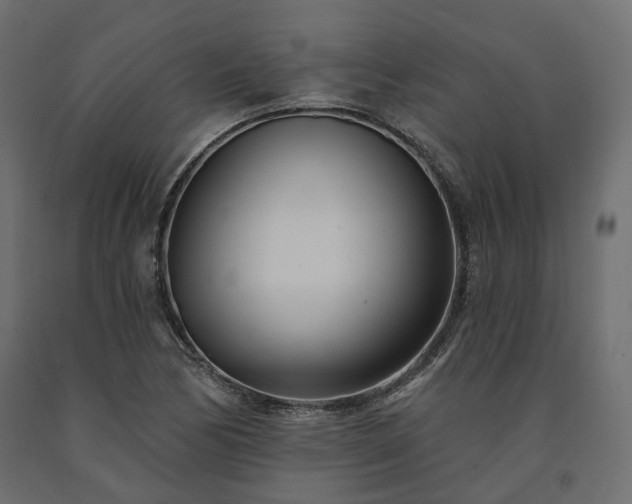 X0000091561170200708241810