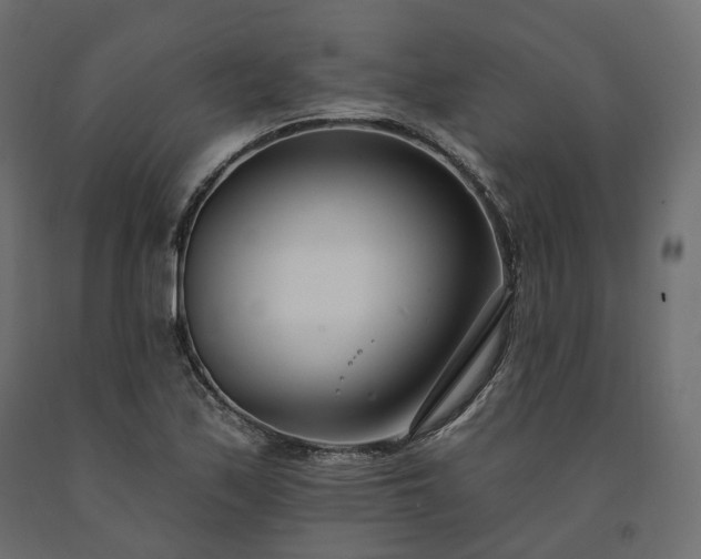 X0000091561171200708241810