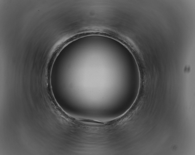 X0000091561172200708241810