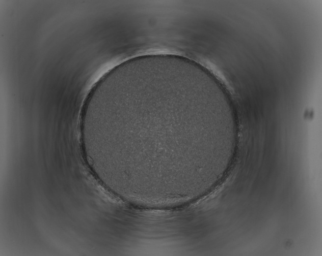 X0000091561173200708241810