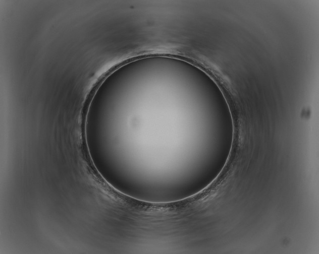 X0000091561174200708241810