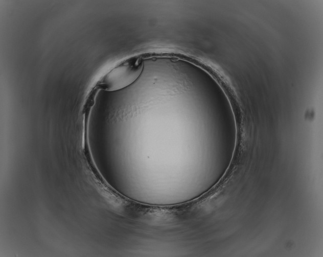 X0000091561175200708241810