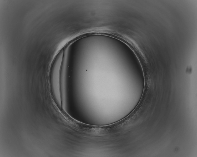 X0000091561176200708241810