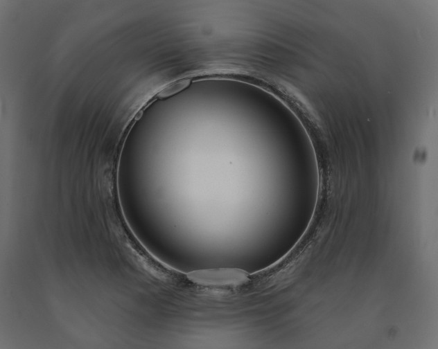 X0000091561177200708241810