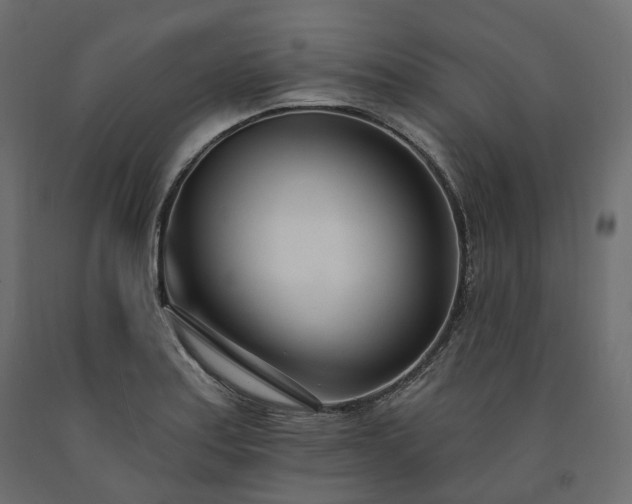 X0000091561179200708241810