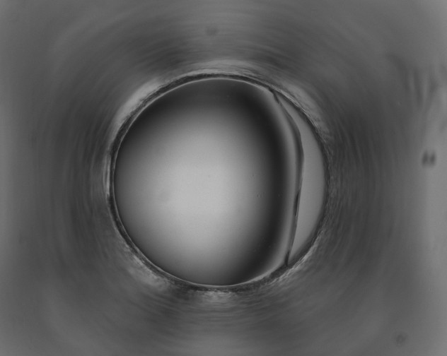 X0000091561180200708241809