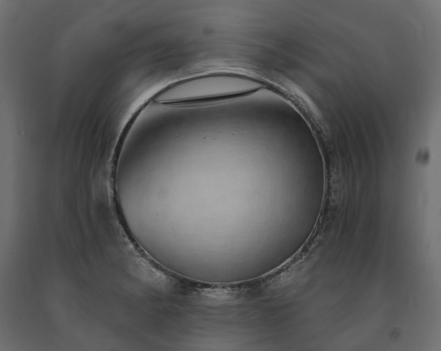 X0000091561182200708241809