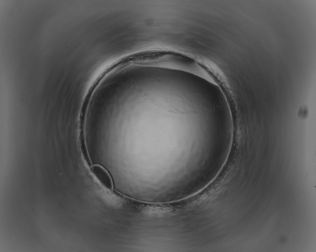 X0000091561183200708241809