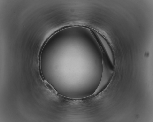 X0000091561184200708241809