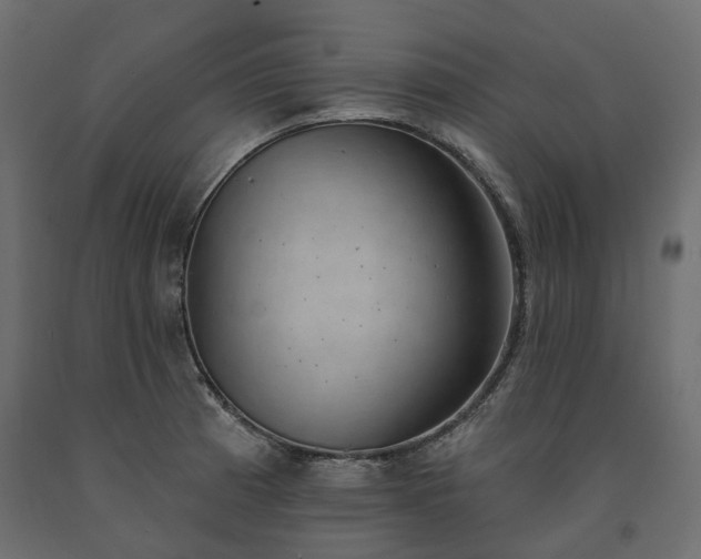 X0000091561185200708241809