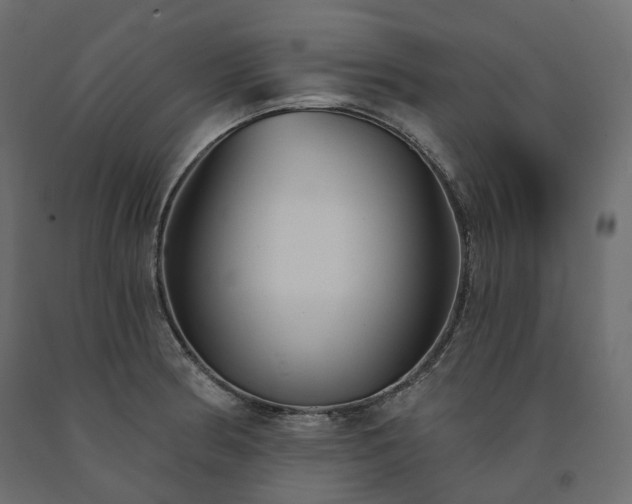 X0000091561186200708241809