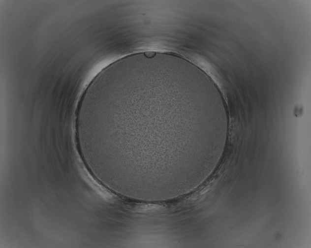 X0000091561187200708241809