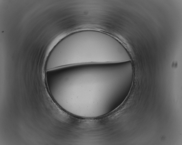 X0000091561188200708241809