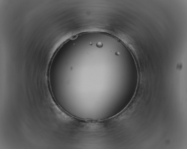 X0000091561189200708241809