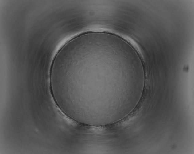 X0000091561191200708241809