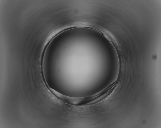 X0000091561192200708241809