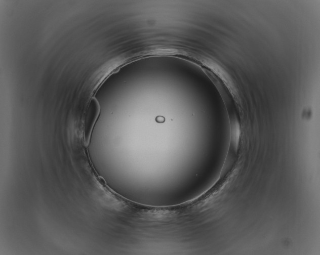 X0000091561193200708241809