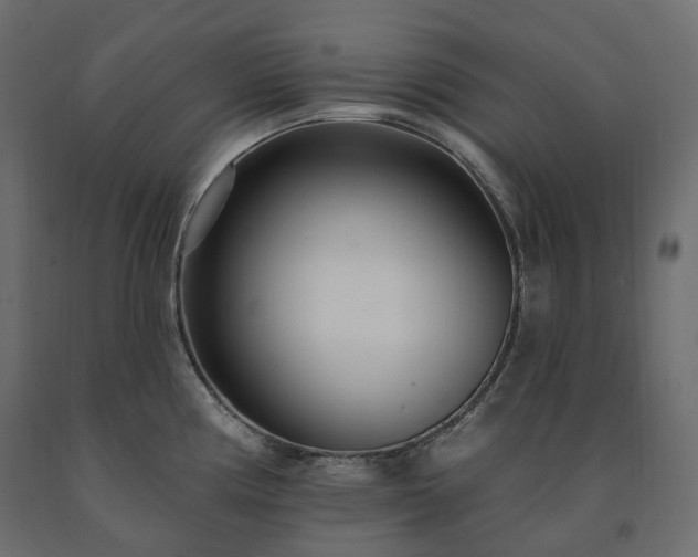 X0000091561194200708241809