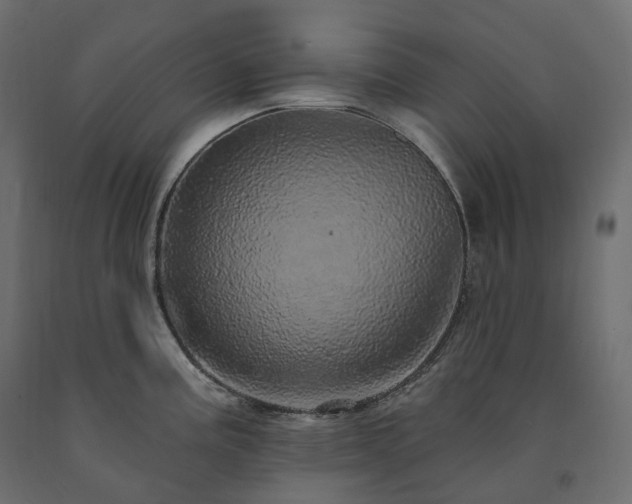 X0000091561195200708241809