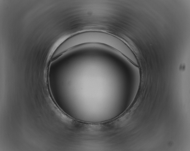 X0000091561196200708241809