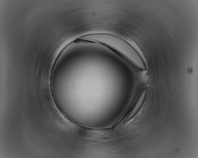 X0000091561197200708241809