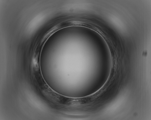 X0000091561198200708241809