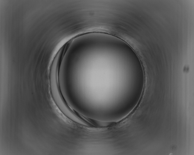 X0000091561200200708241809