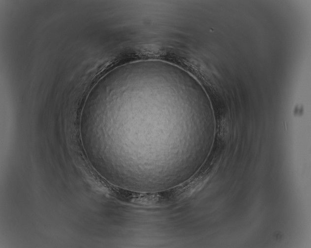 X0000091561201200708241808