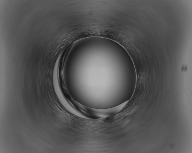 X0000091561202200708241808