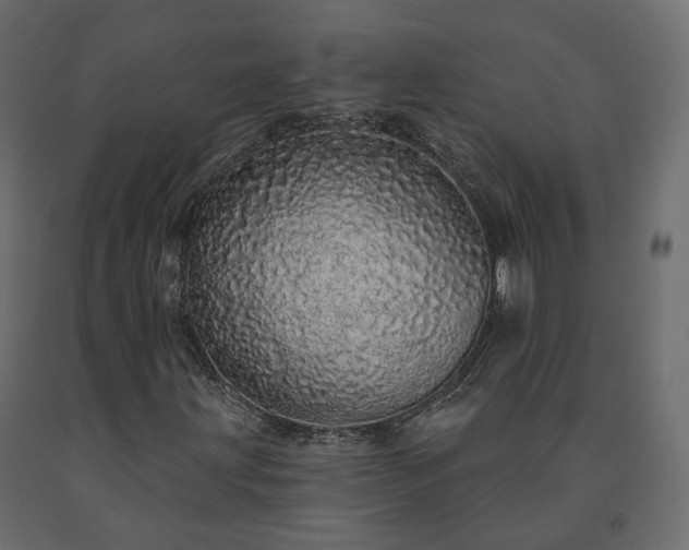 X0000091561203200708241808