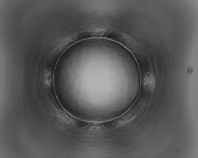 X0000091561204200708241809