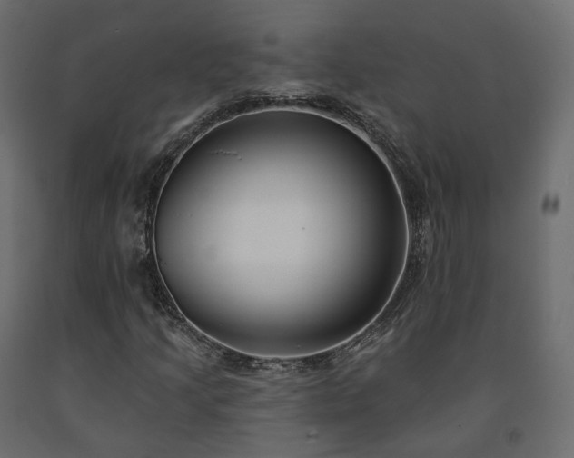 X0000091561205200708241809