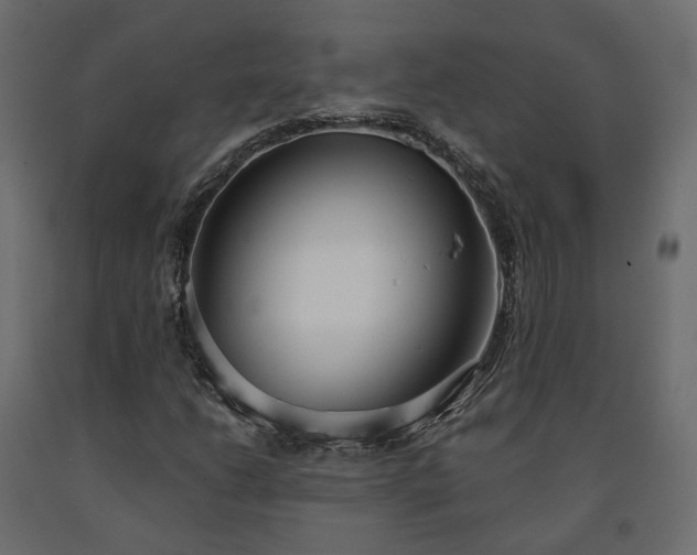 X0000091561206200708241809