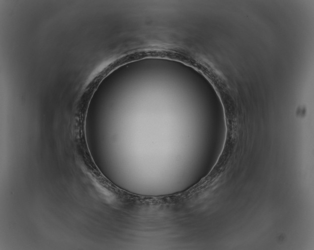 X0000091561208200708241809