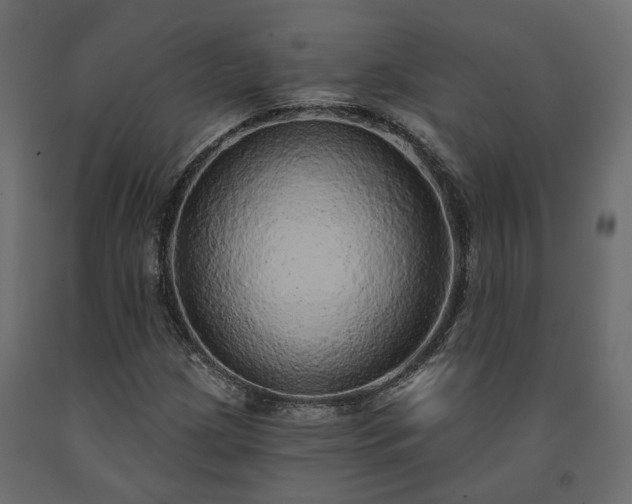 X0000091561209200708241809