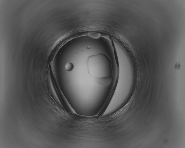 X0000091561210200708241809