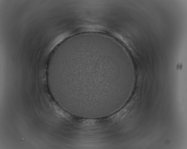 X0000091561211200708241809