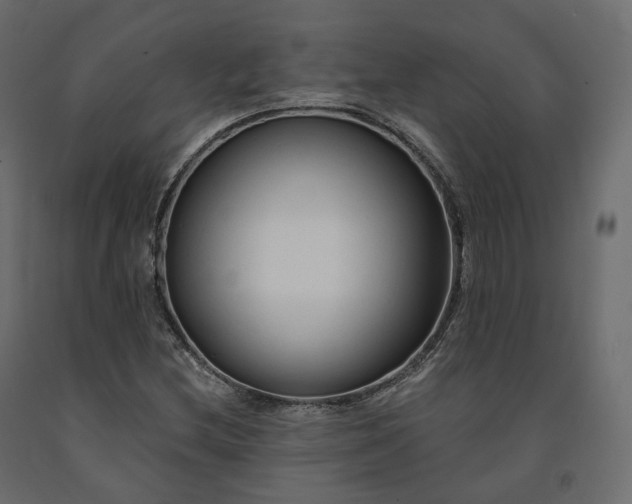 X0000091561212200708241809