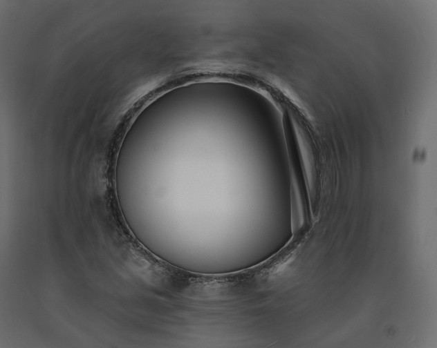 X0000091561213200708241809