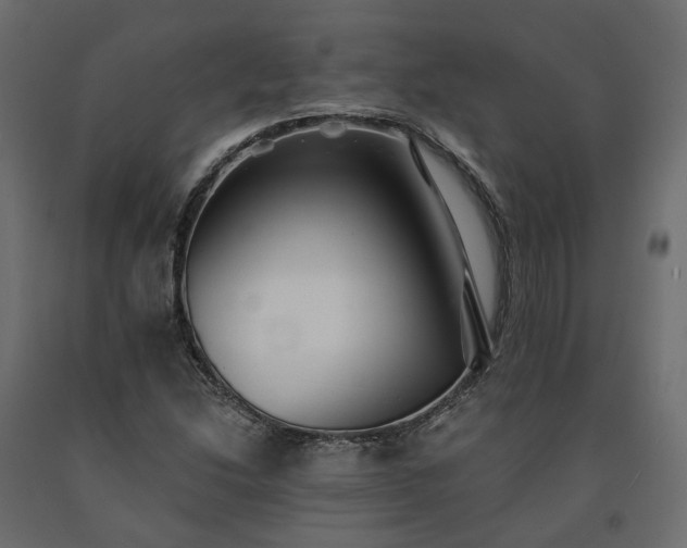 X0000091561214200708241809